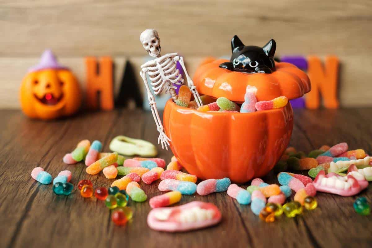 Cette année pour Halloween, pensez à louer votre décoration