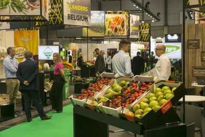 fruit attraction 2025 séduit Madrid avec un record de visiteurs et d’innovations.