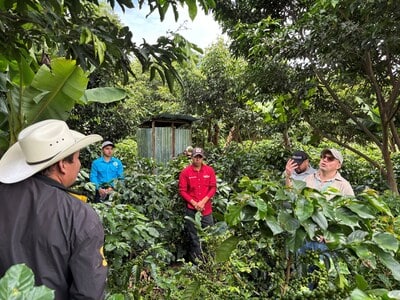 Un projet café intelligent climat soutient les producteurs au Honduras face aux défis climatiques.